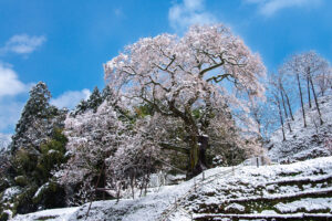 第38回 呉写真団体連合会写真展　6月6日～6月8日